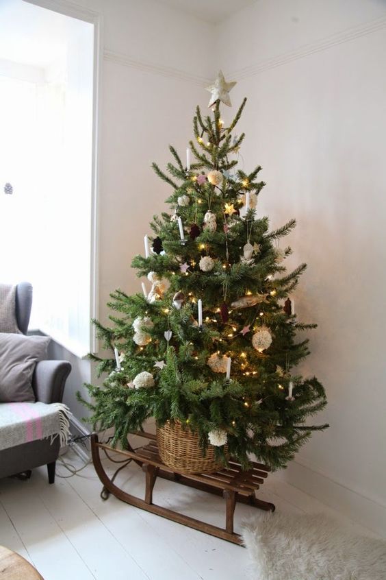 a small christmas tree in a basket on a wooden sled with lights and ornaments