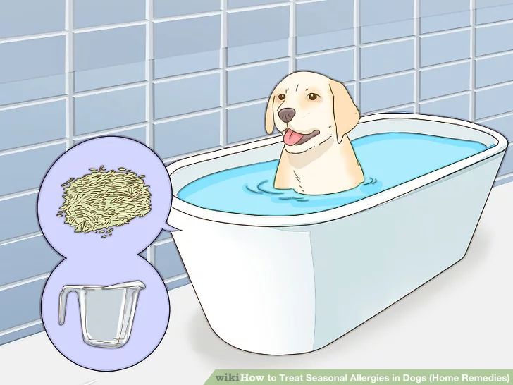 a dog sitting in a bathtub next to a tile wall