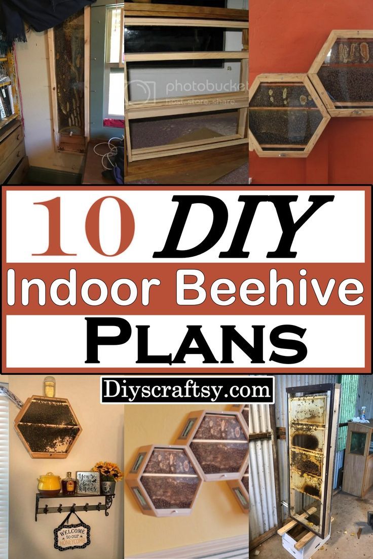 DIY Beehive Plans For Indoor Decorations Observation Bee Hive Diy, Diy Bee Hive How To Build, Bee Hives Diy Craft, Indoor Beehive, Beehive Plans, Diy Bee Hive, Diy Beehive, Honey Bee Farming, Bee Hives Diy