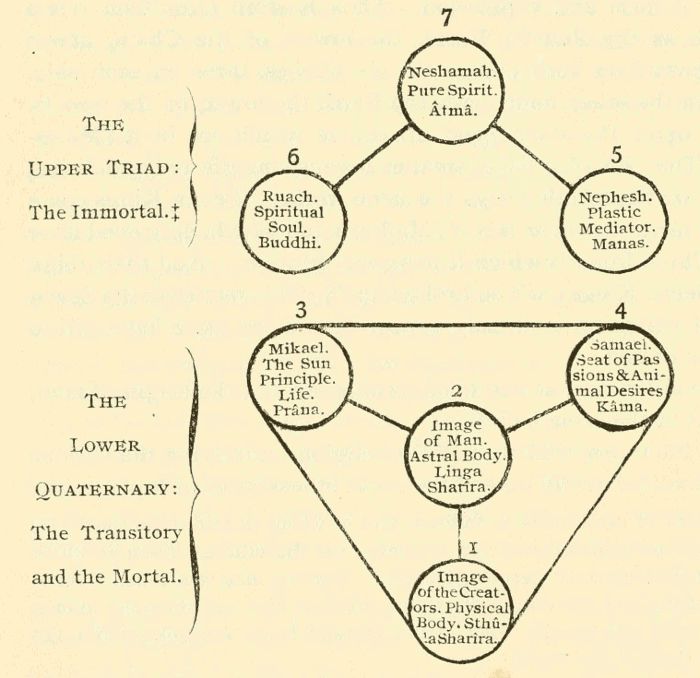 a diagram showing the structure of a tree