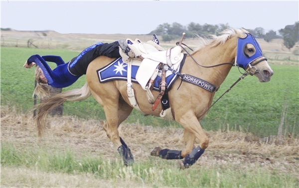 a man riding on the back of a brown horse