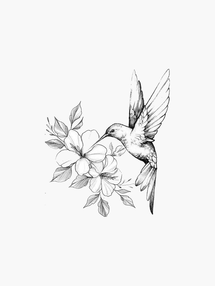 a black and white drawing of a hummingbird flying over flowers on a white background