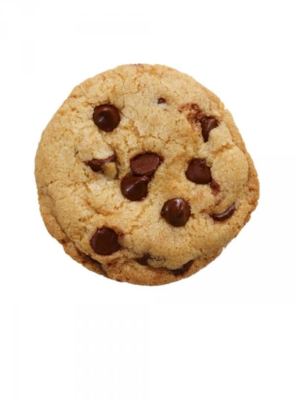 a chocolate chip cookie on a white background