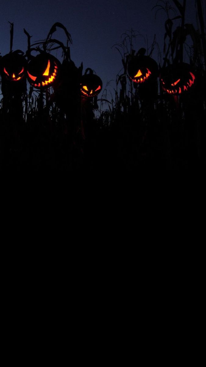 halloween pumpkins lit up in the night sky with their faces carved into jack - o'- lanterns