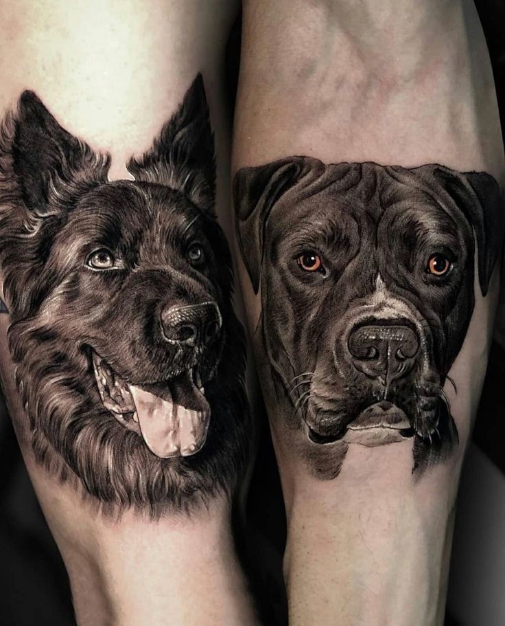 two black and white dogs on both legs with their faces painted to look like they're