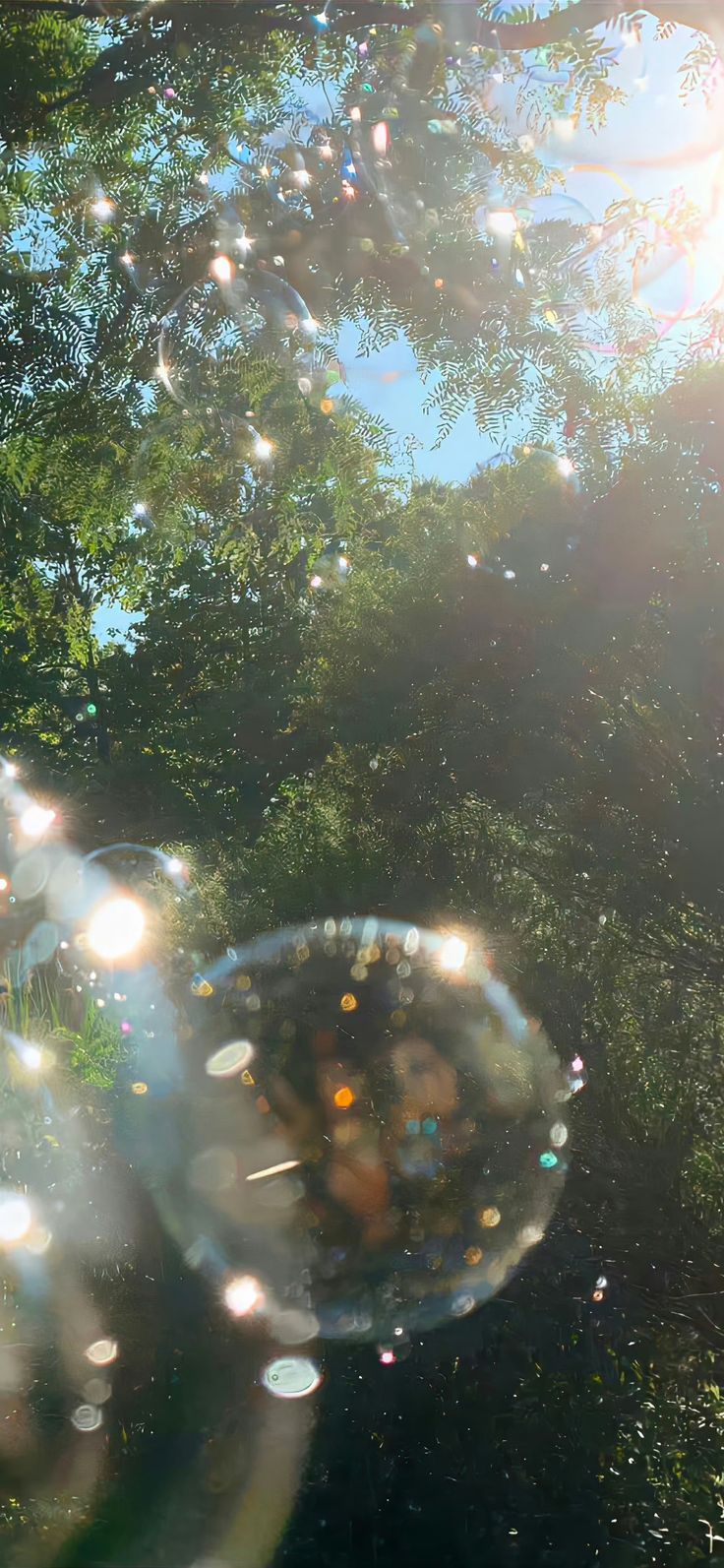 bubbles floating in the air near trees