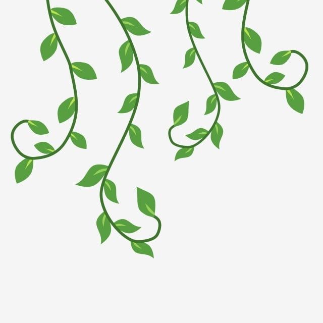 green leaves are hanging from the branches on a white background, with space for text