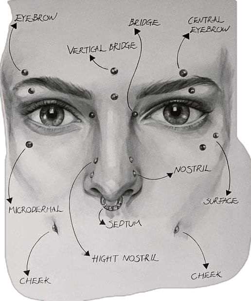 a drawing of a woman's face with her nose and eyes labeled in several different words