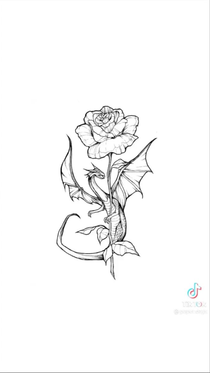 Dragon And Rose Tattoo Design, Roses And Dragons, Dragon With Flowers Tattoo Designs, Creative Dragon Tattoo, Dragon And Rose Tattoo For Women, Roses And Butterfly Drawing, Dragon Flower Drawing, Cute Dragon Tattoo For Women, Dragon With Roses Tattoo