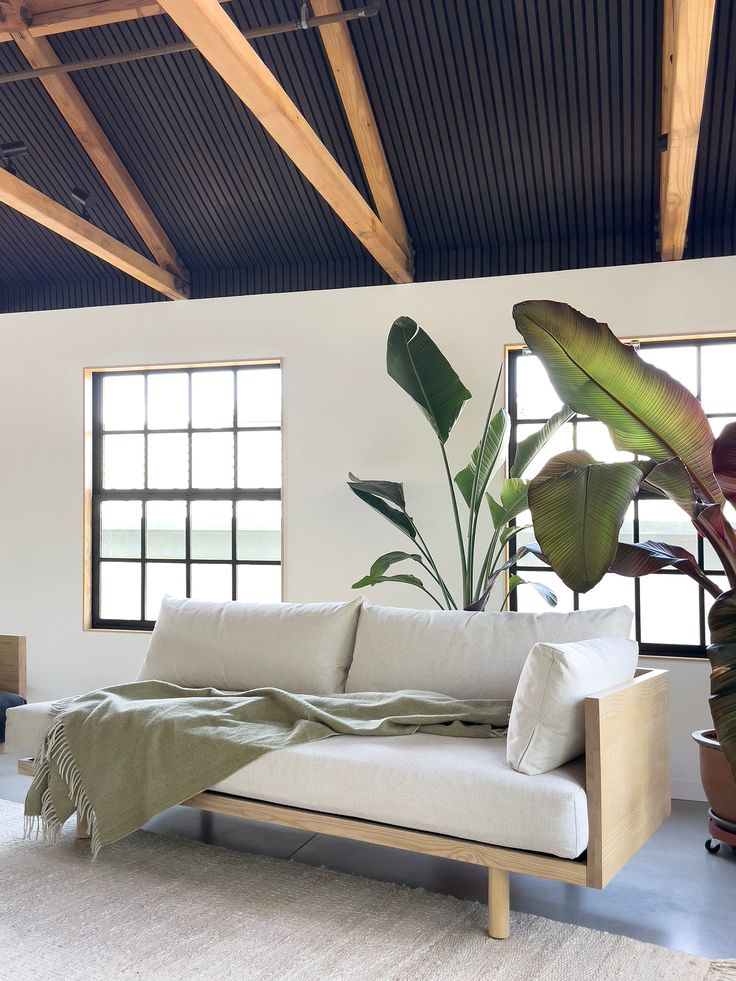 a living room with a white couch and large potted plant in the corner next to it