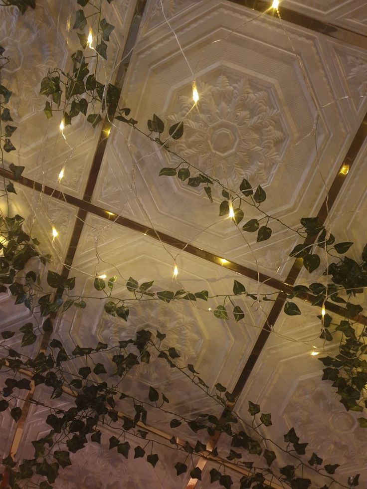 the ceiling is covered with vines and lights