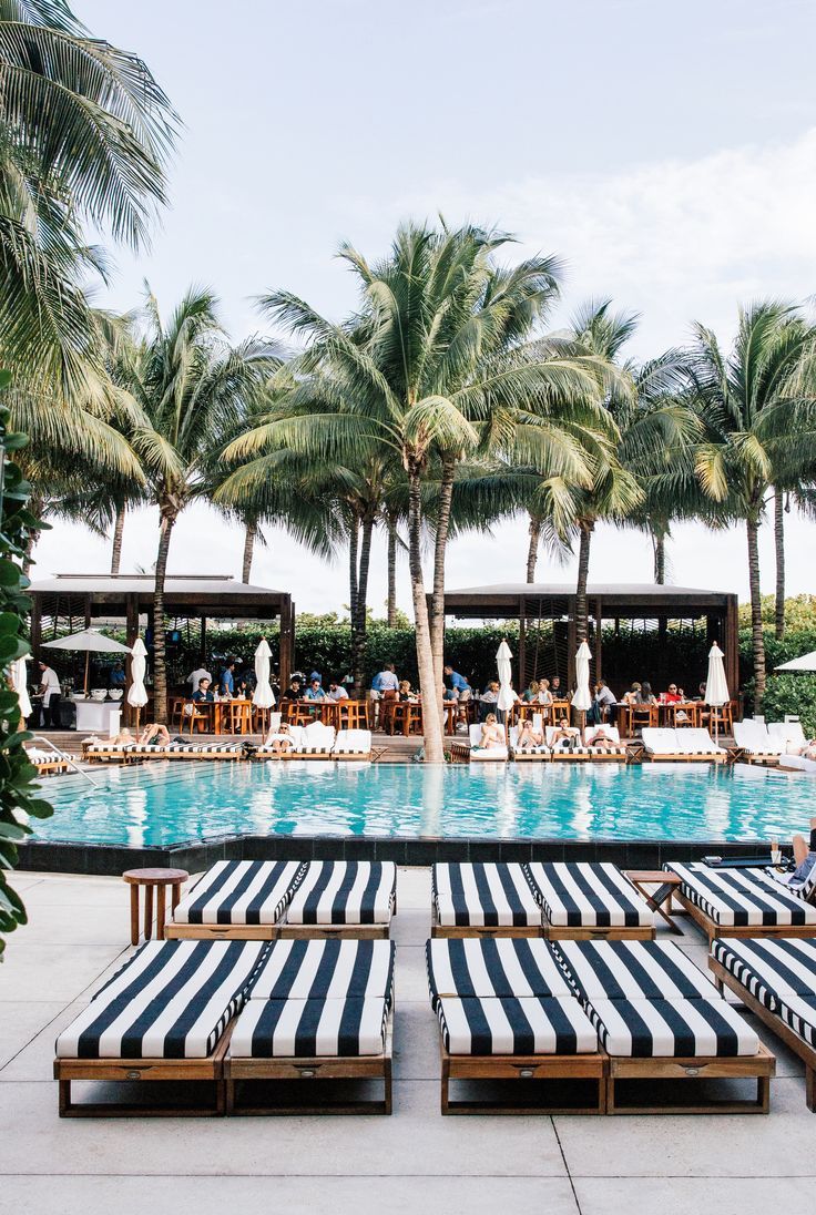 two lounge chairs sitting next to an outdoor swimming pool with palm trees in the background