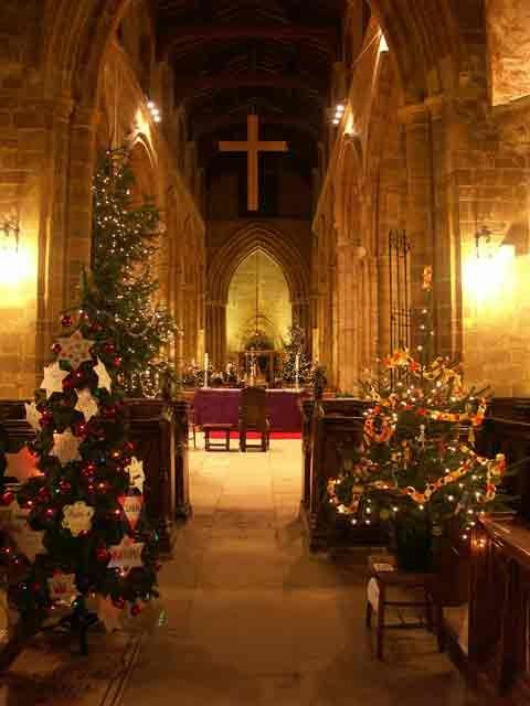 christmas trees are lined up in the middle of an empty church with lights on them