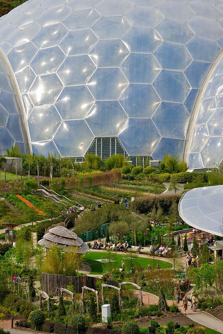 an aerial view of a garden with lots of plants and people walking around the area