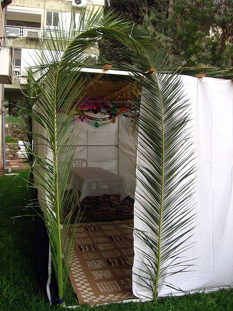 a white tent sitting in the middle of a lush green field next to a tall palm tree