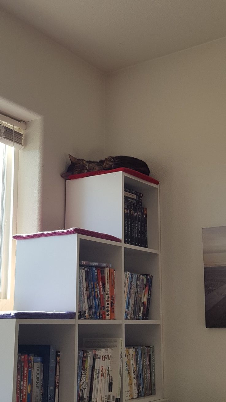 a bookshelf filled with lots of books next to a window in a room