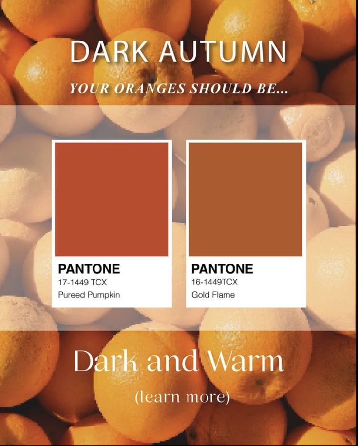 oranges with the words dark and autumn on them in white text, surrounded by other oranges