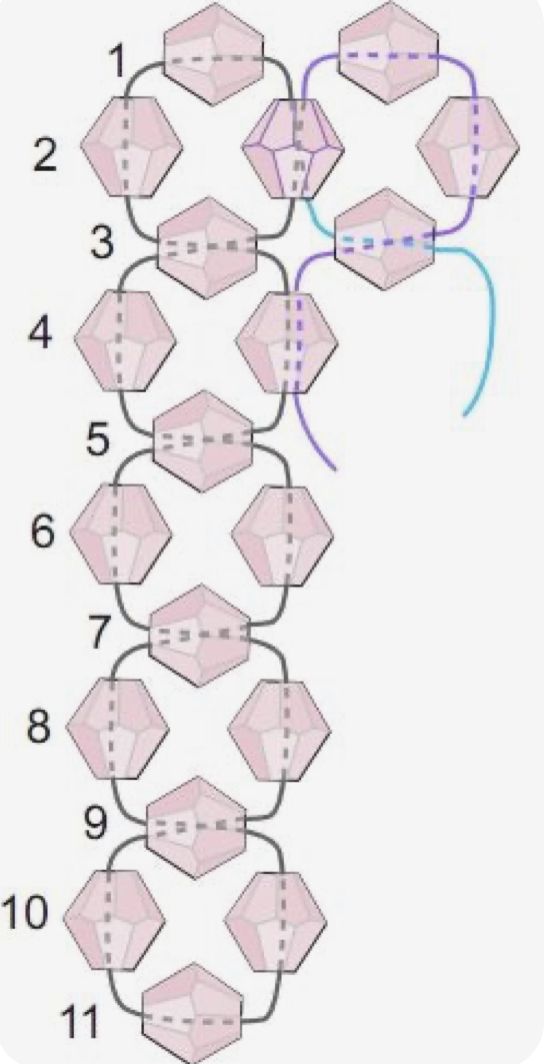 the diagram shows how many different shapes can be seen in this image, and what are they