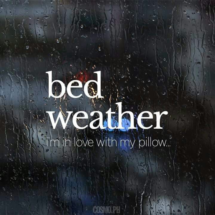 the words bed weather i'm in love with my pillow