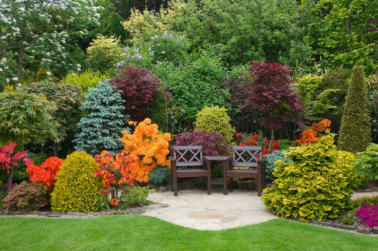 a garden filled with lots of different types of trees and shrubs next to a park bench