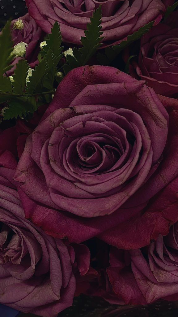 a bouquet of purple roses sitting on top of a table