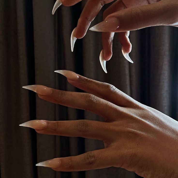 Halloween Claw Nails, Claw Nails Aesthetic, Cat Claw Nails Acrylic, Eagle Claw Nails, Clawed Hands Aesthetic, Sharp Nails Aesthetic, How To Make Claws, Raptor Nails, Claw Acrylic Nails