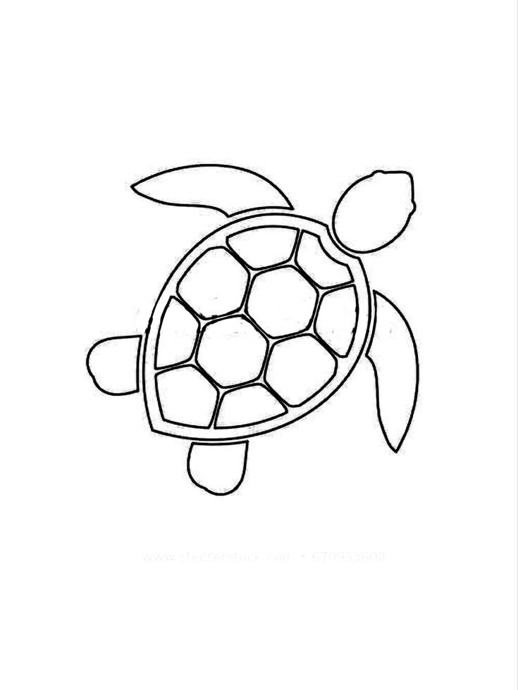 a drawing of a sea turtle