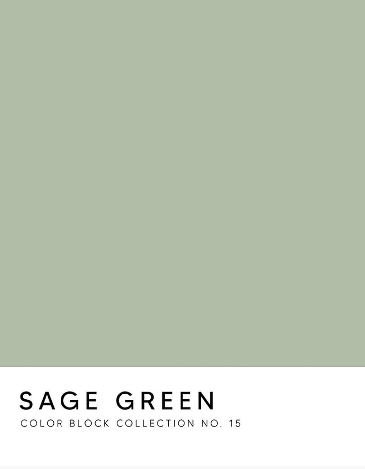 sage green color block collection no 15