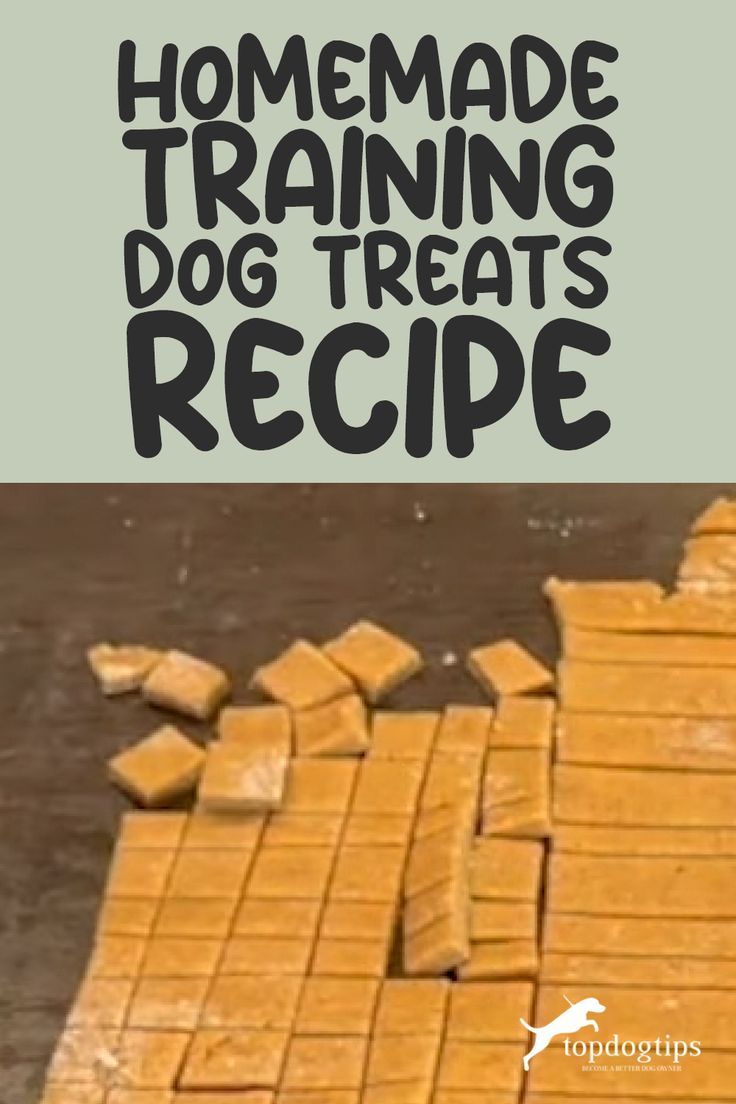 Homemade Training Dog Treats Recipe Peanut Butter Training Treats, Homemade Training Dog Treats, Soft Chew Dog Treat Recipe, Homemade Training Treats For Puppies, Cheap Dog Treats, How To Make Training Treats For Dogs, Homemade Treats For Puppies, Low Calorie Dog Training Treats, Puppy Training Treats Homemade