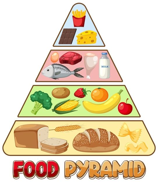 Food nutrition groups pyramid | Premium Vector #Freepik #vector #fat-cartoon #food-groups #food-clipart #carbs Best Chocolate Bundt Cake Recipe, Food Groups For Kids, Pyramid Illustration, Food Pyramid Kids, Four Food Groups, Nutrition Pyramid, Fat Cartoon, Easy Custard, Cake Pizza