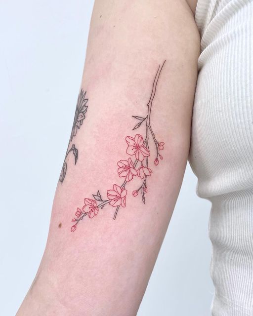 a woman's arm with red flowers and leaves on the left side of her arm