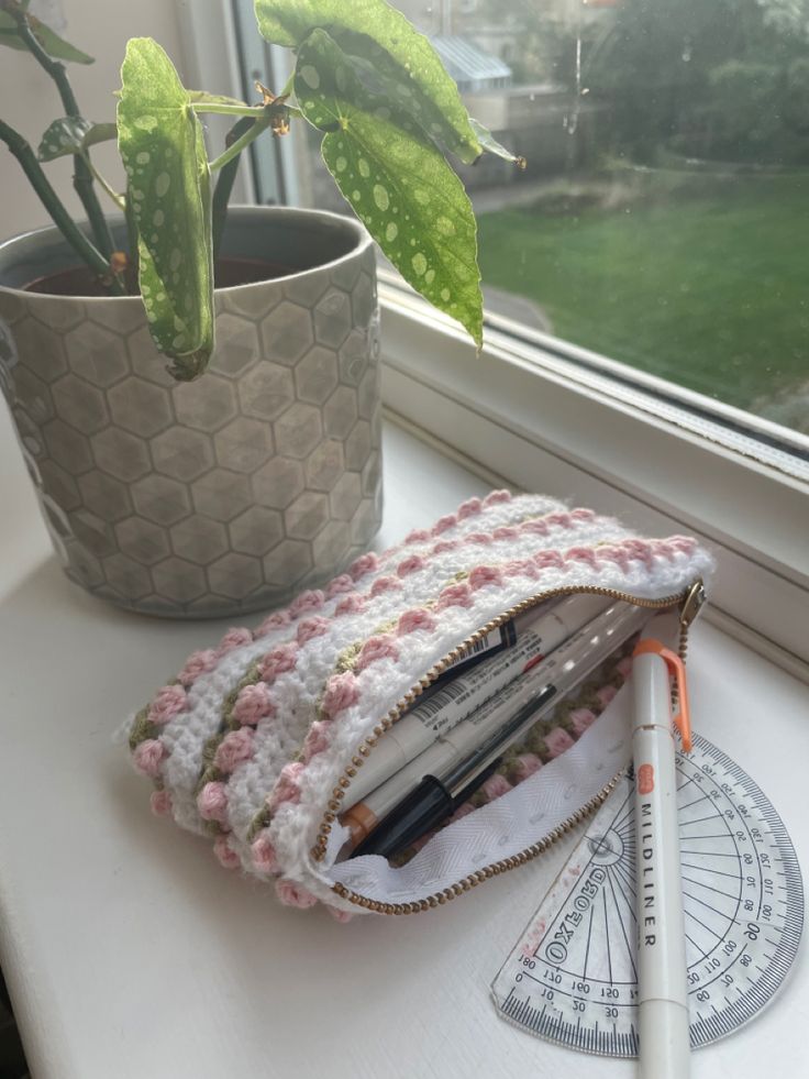 a pencil case sitting on top of a window sill next to a potted plant