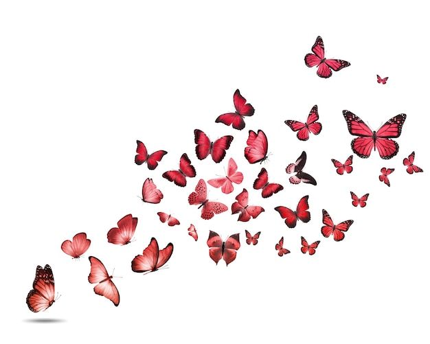 a group of red butterflies flying in the air