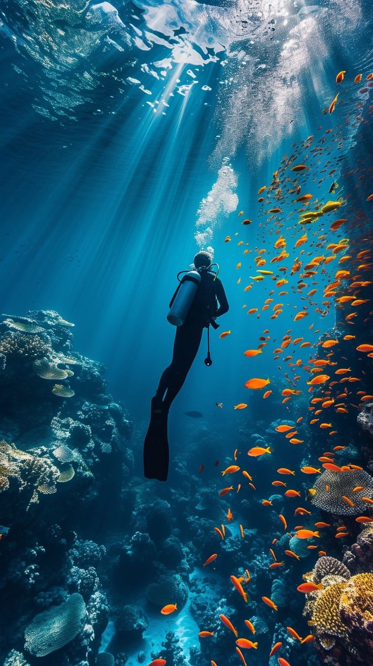 a person swimming in the ocean surrounded by fish and corals, with sunlight streaming through the water