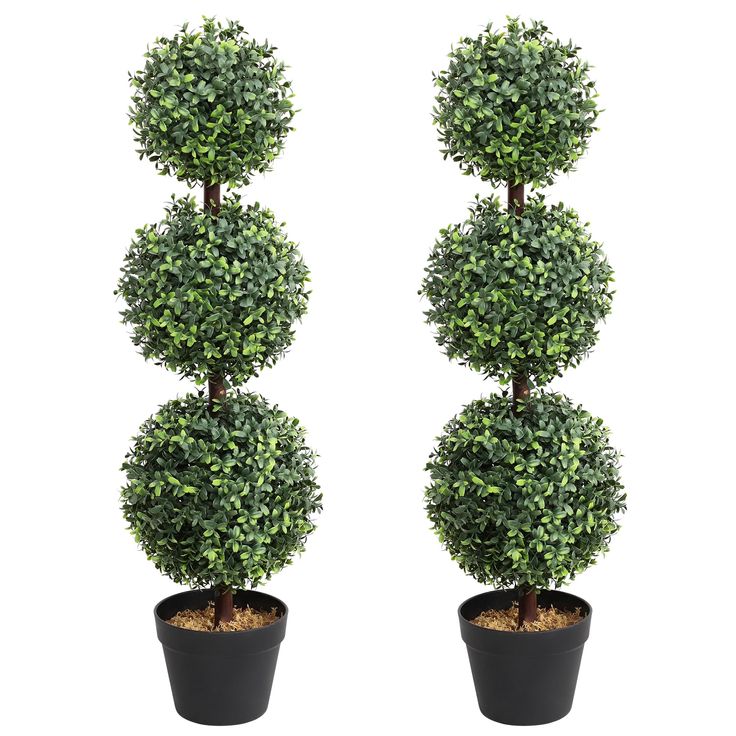 two potted plants are shown in the shape of three ball shaped topiary trees