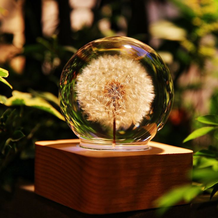 a dandelion in a glass ball sitting on top of a wooden stand