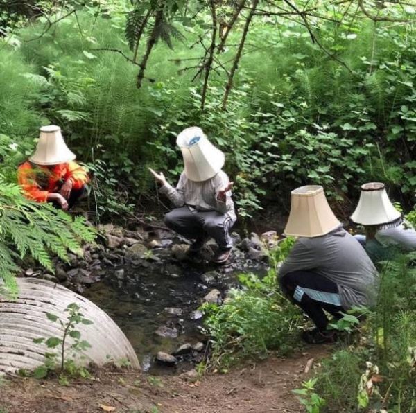 three people in hats are sitting on the ground near a stream and plants, while one person is looking at his cell phone