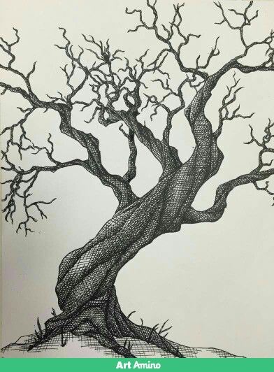 a drawing of a tree with no leaves