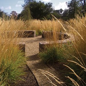 a stone bench sitting in the middle of a field with tall grass on either side