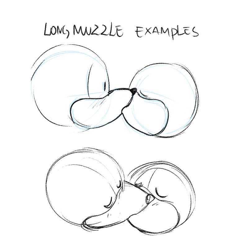 a drawing of some kind of fruit with the words lom muzzle examples on it