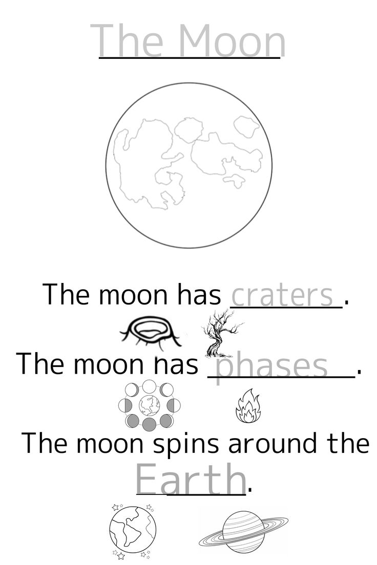 the moon has critters and phases worksheet