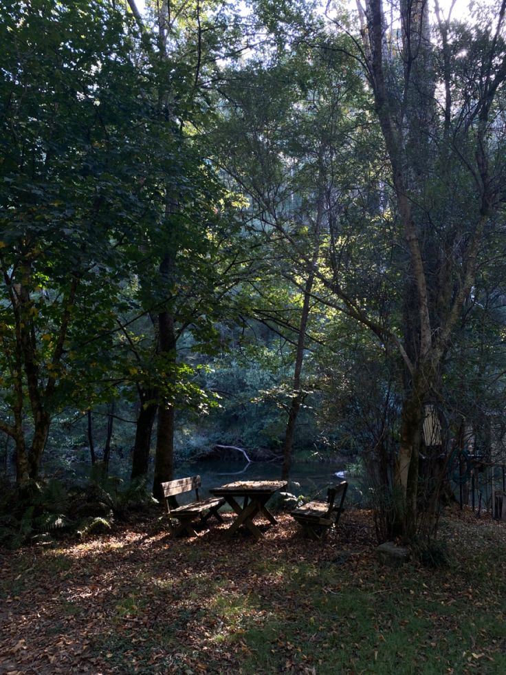 there is a picnic table in the woods