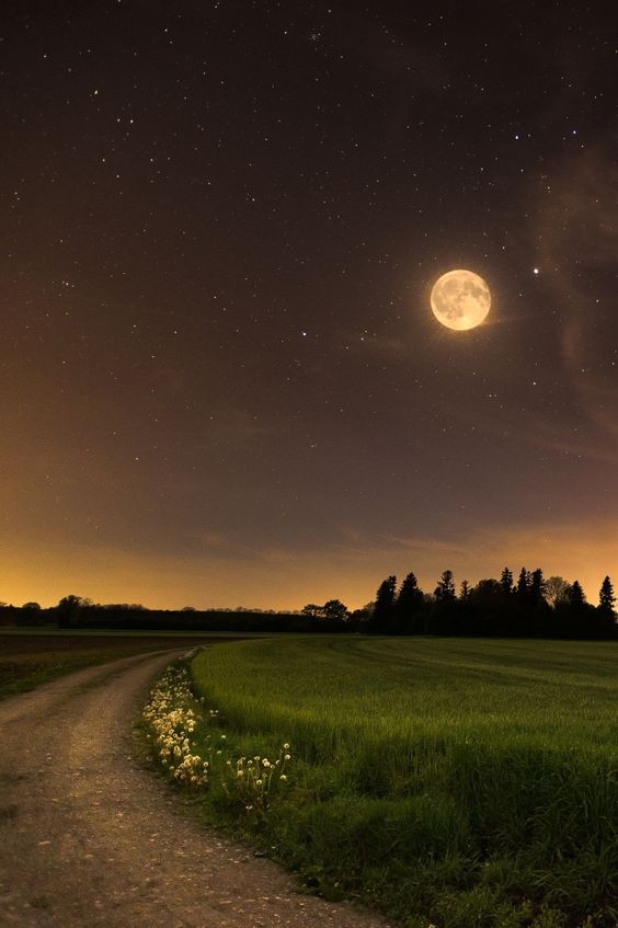 the night sky is lit up with stars and moon in the distance, as well as an image of a dirt road