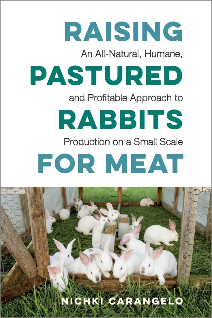 raising pastureed rabbits for meat an all - natural, humane, and portable approach to production on a small scale