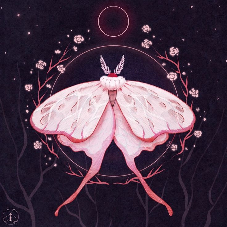 a painting of a pink butterfly on a black background with white flowers and branches around it