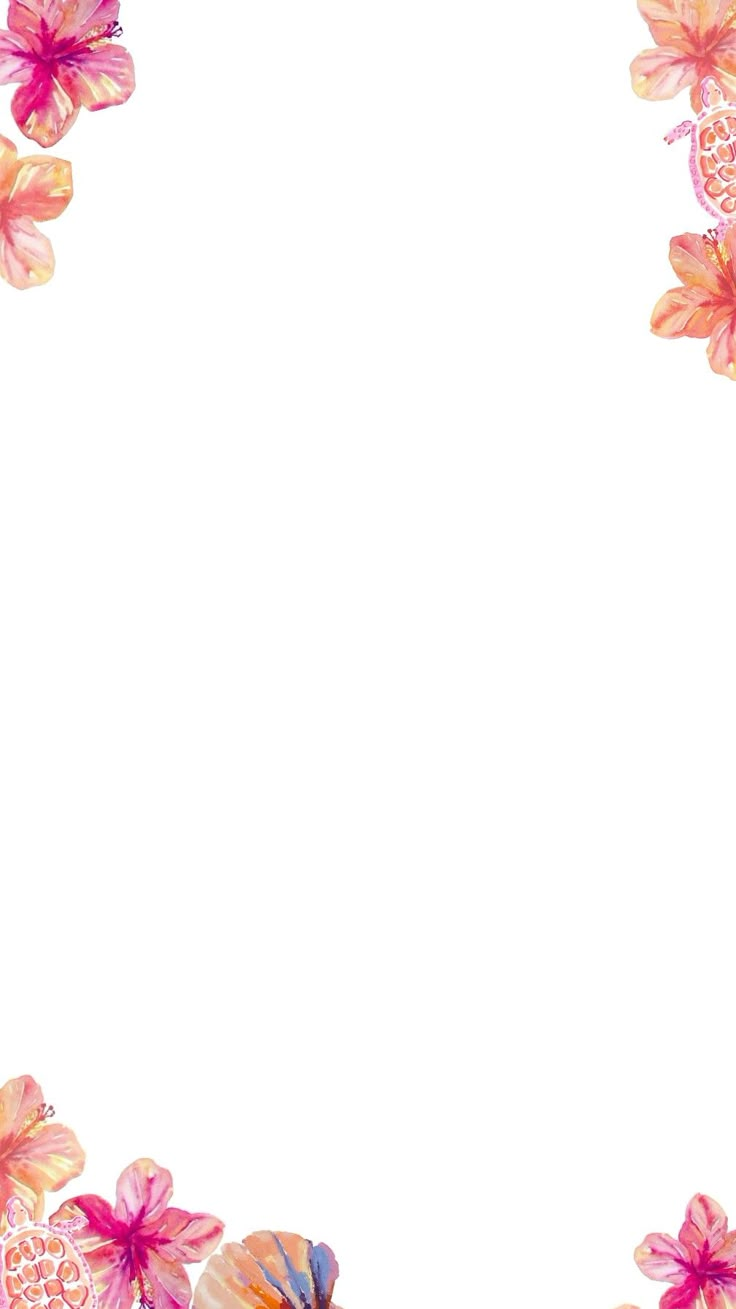 a white background with pink and orange flowers