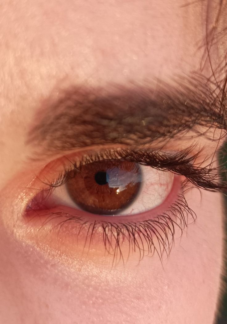 Russet Eyes, Russet Brown Eyes, Reading Imagination, Brow Eyes, Brown Eyes Aesthetic, Eyes Aesthetic, Easy Photography Ideas, Pretty Photography, Big Brown Eyes