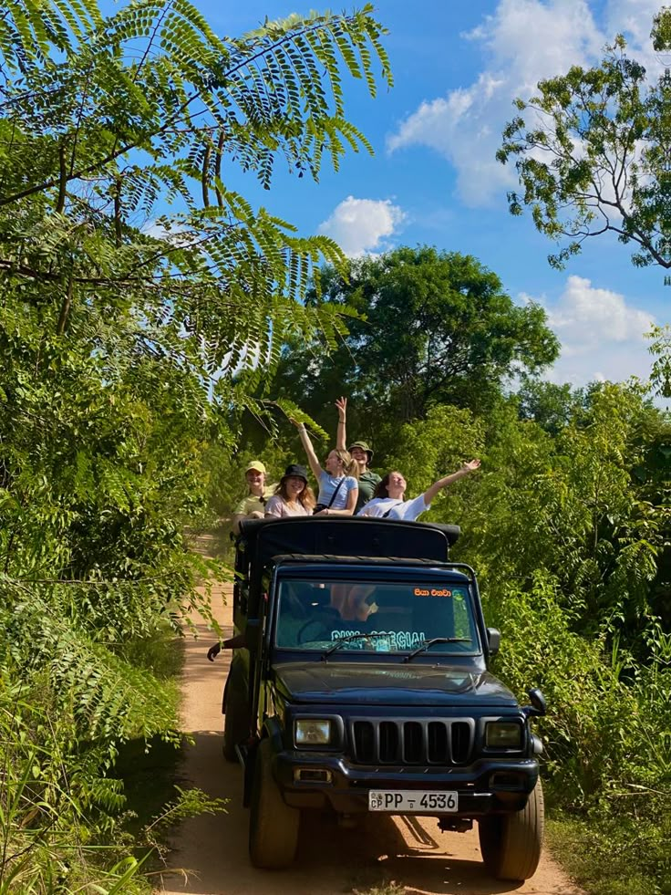 people riding in the back of a jeep on a dirt road surrounded by green trees