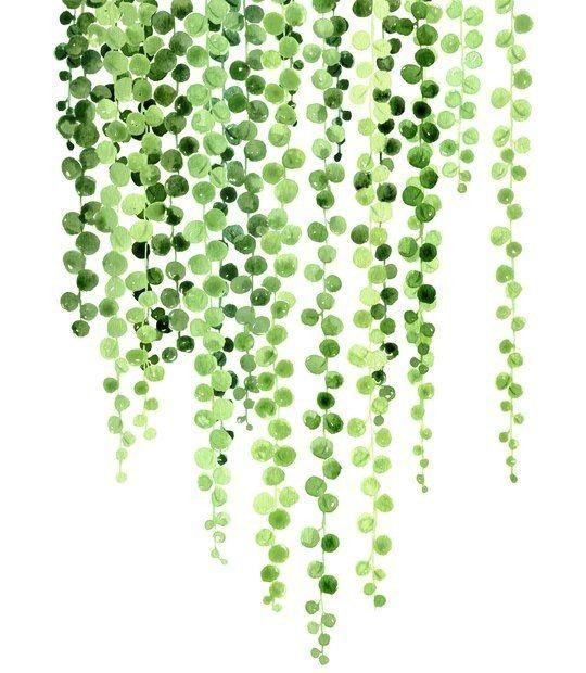 the string of pearls is hanging from the ceiling in front of a white background with green dots