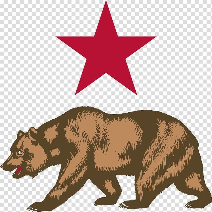 a brown bear with a red star on top of it